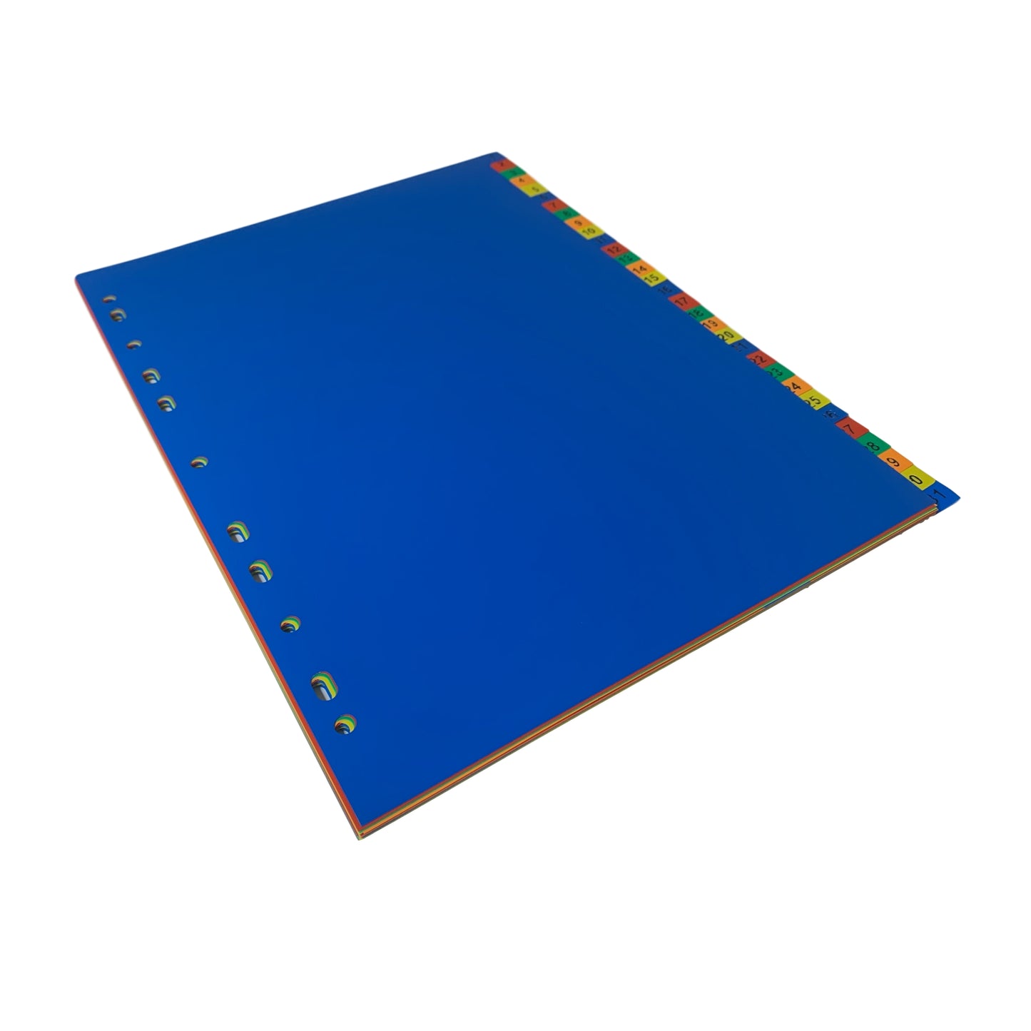 A4 31 Part Polypropylene Dividers with Reinforced Index Cover