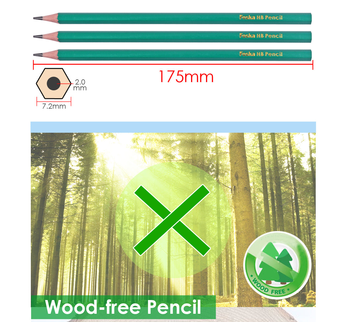 Pack of 12 7'' Flexible Sharpened Plastic Wood- Free HB Pencils with Eraser