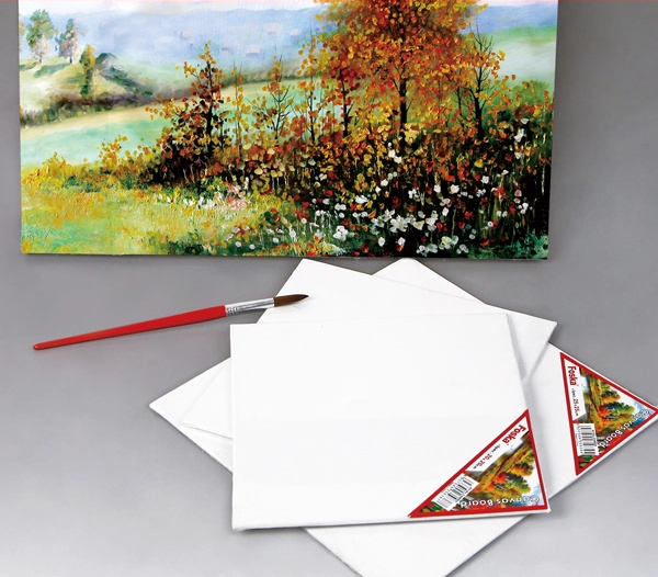 25 x 25cm Artist Paint Canvas Drawing Board